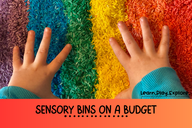 Super Simple Guide to Sensory Bins on a Budget